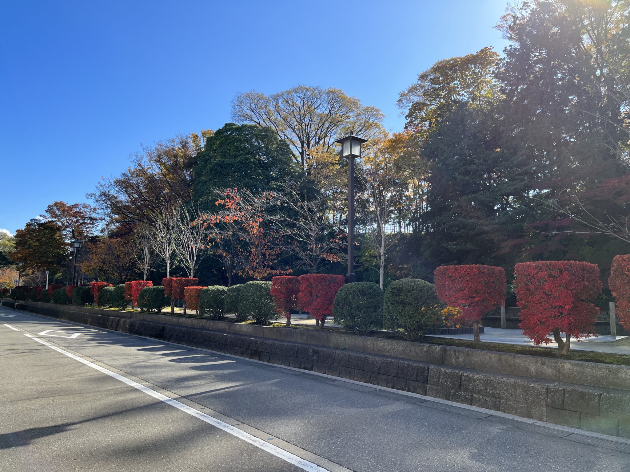 角刈り あるじのブログ